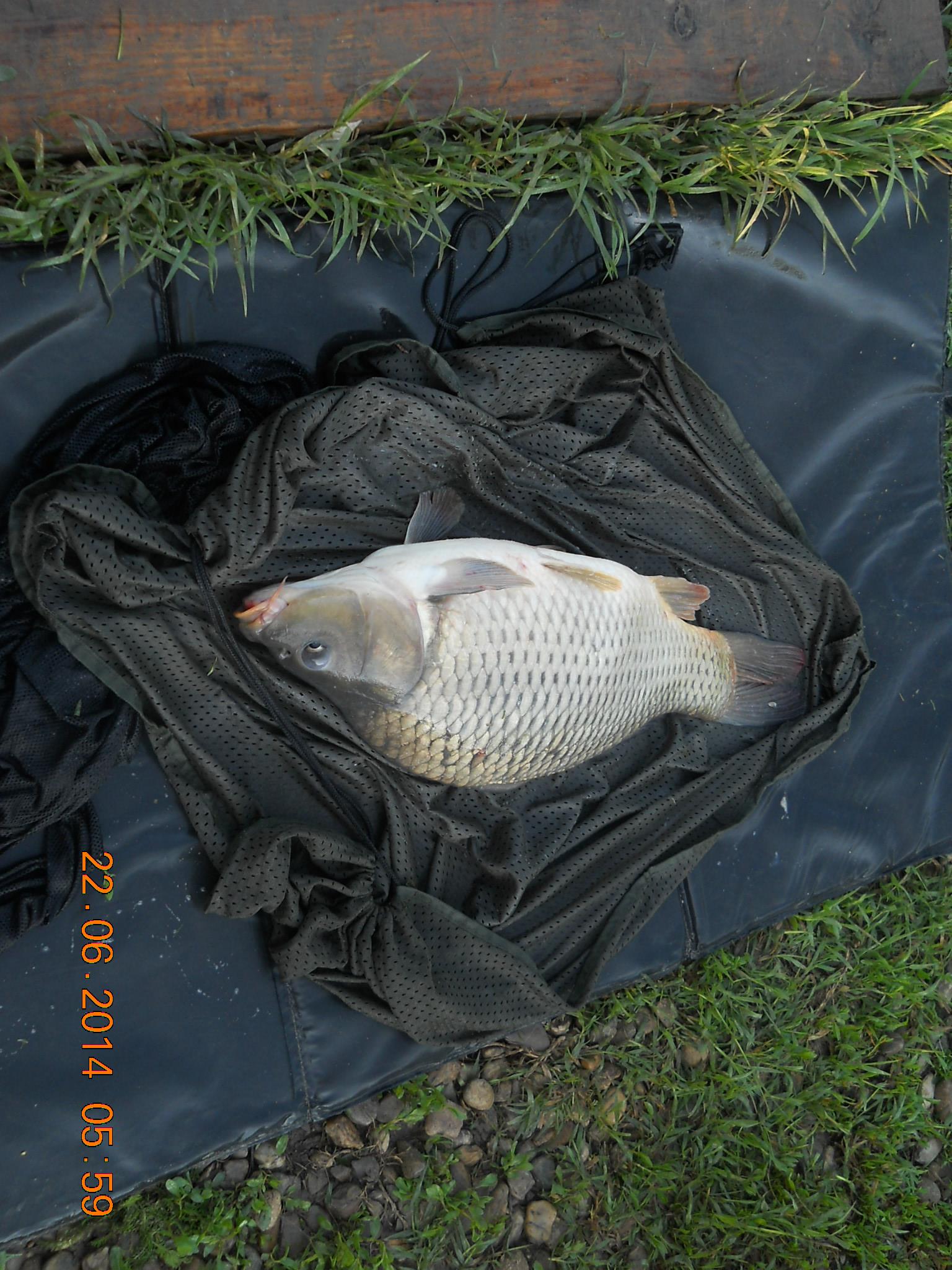 pescuit Magura 9 - dscn9573.jpg